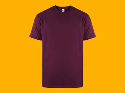 Costume New States Apparel Softstyle 3600